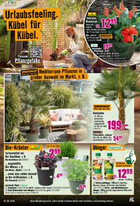 HORNBACH Prospekt - Juli 2026