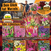 HORNBACH Prospekt - Garten & Balkon Angebote