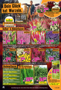 HORNBACH Prospekt - September 2026