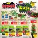 Jawoll Prospekt - Blumen