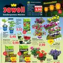 Jawoll Prospekt - Blumen