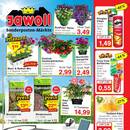 Jawoll Prospekt - Blumen