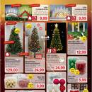 Jawoll Prospekt Seite 3