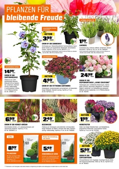OBI Prospekt - Sommer Sale