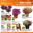 OBI Prospekt - Blumen