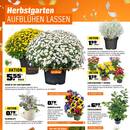 OBI Prospekt - Herbstliche Angebote Angebote