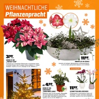 OBI Prospekt Seite 10