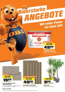 OBI Prospekt - Mit voller Power ins neue Jahr