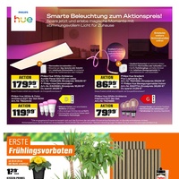 OBI Prospekt - Blumen