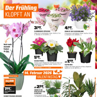 OBI Prospekt Seite 7