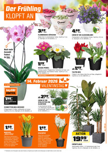 OBI Prospekt - Februar 2026