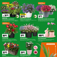 OBI Prospekt Seite 8