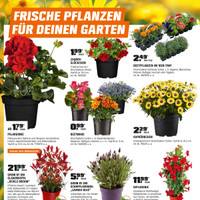 OBI Prospekt Seite 2