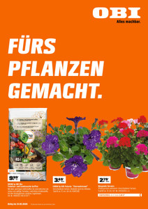OBI Prospekt - Pflanzen - Seite 1