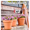 Blumen-Hoeren Prospekt Seite 2