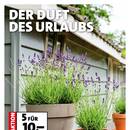 Blumen-Hoeren Prospekt Seite 2