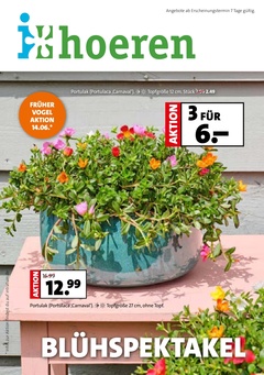 Blumen-Hoeren Prospekt - Hoeren Gartencenter GmbH