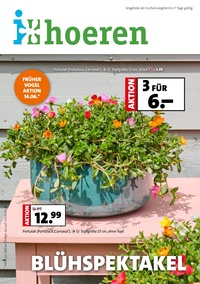 Blumen-Hoeren Prospekt - Angebote ab 07.06.