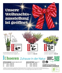 Blumen-Hoeren Prospekt - Hoeren Gartencenter GmbH