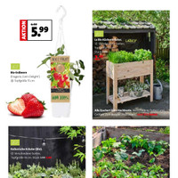 Blumen-Hoeren Prospekt Seite 3