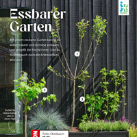 Blumen-Hoeren Prospekt Seite 2