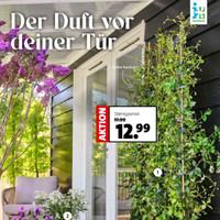 Blumen-Hoeren Prospekt Seite 2