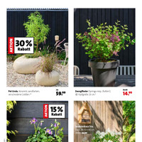 Blumen-Hoeren Prospekt Seite 3