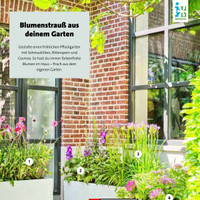 Blumen-Hoeren Prospekt Seite 2