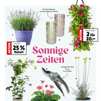 Blumen-Hoeren Prospekt Seite 3