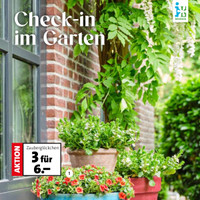 Blumen-Hoeren Prospekt Seite 2