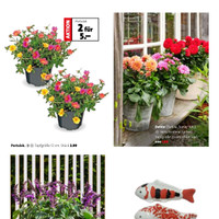 Blumen-Hoeren Prospekt Seite 3