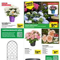 Swertz Prospekt Seite 3