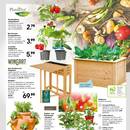 HELLWEG Prospekt - Obst & Gemüse