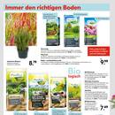 HELLWEG Prospekt - Blumen