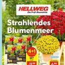 HELLWEG Prospekt - Sommerschlussverkauf Angebote