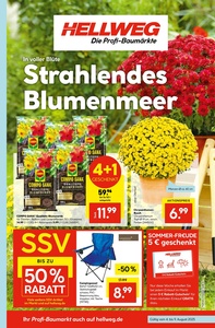 HELLWEG Prospekt - Angebote ab 04.08.