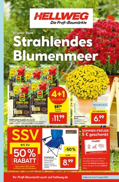 HELLWEG Prospekt - Angebote ab 04.08.