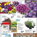 HELLWEG Prospekt - Blumen