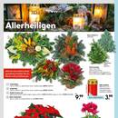 HELLWEG Prospekt - Blumen
