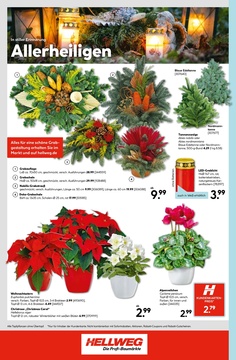 HELLWEG Prospekt - Angebote ab 27.10.
