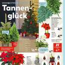 HELLWEG Prospekt Seite 16