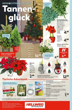 HELLWEG Prospekt - Angebote ab 17.11.
