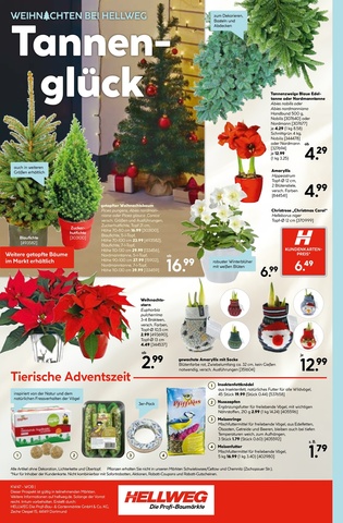 Vorschau des HELLWEG Prospekts - Günstige Weihnachtsdeko für ein stimmungsvolles Fest, Seite 16