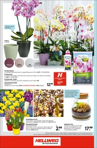HELLWEG Prospekt - Angebote ab 19.01.