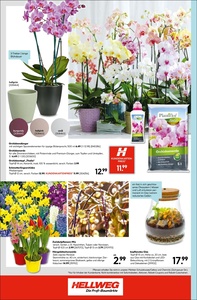 HELLWEG Prospekt - Hellweg