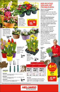 HELLWEG Prospekt - HELLWEG Die Profi-Bau- &