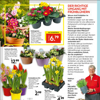 HELLWEG Prospekt Seite 16