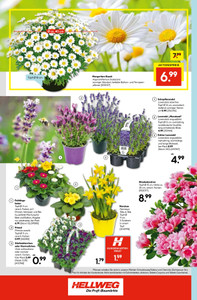 HELLWEG Prospekt - Angebote ab 09.03.