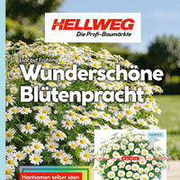 HELLWEG Prospekt - Blumen