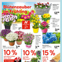 HELLWEG Prospekt Seite 16